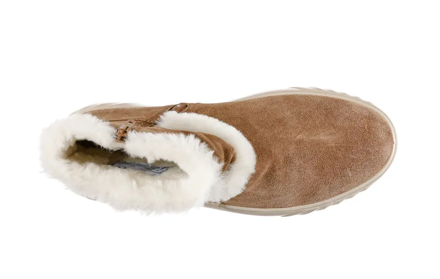 Ara Cozy