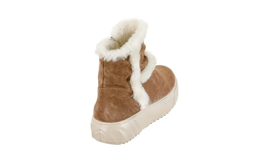 Ara Cozy