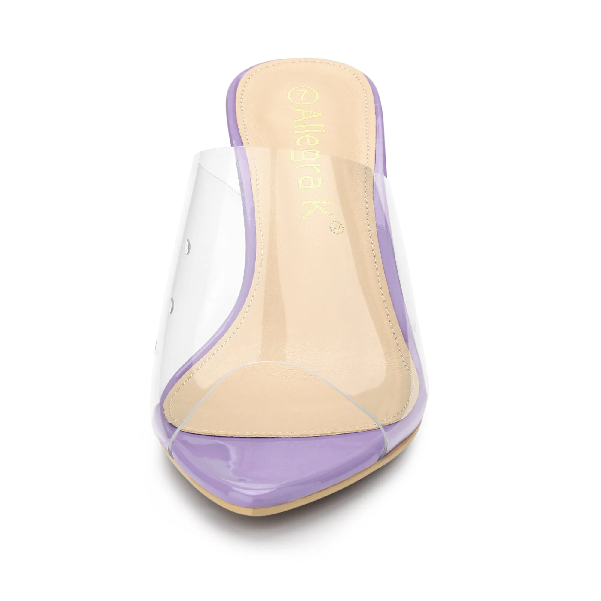 Clear Chunky Heel Slides Sandals Mules