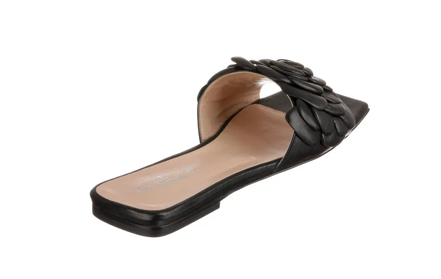 Eva Bloom Black